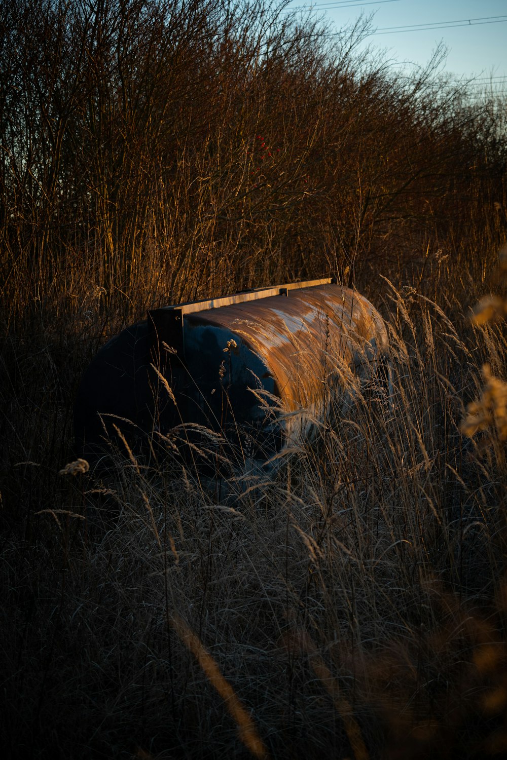 a car in a field