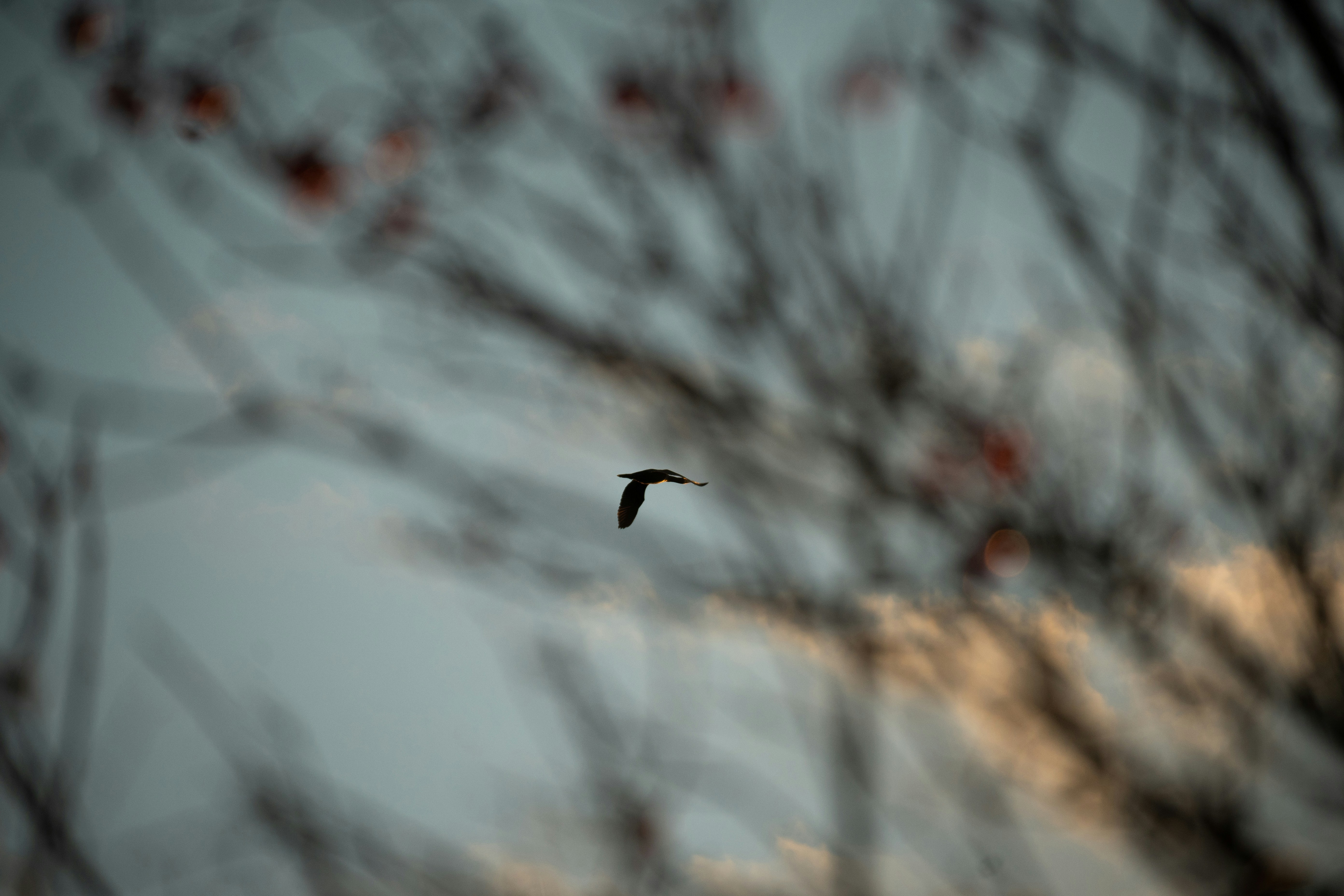 Photo by sebastian_voelkel