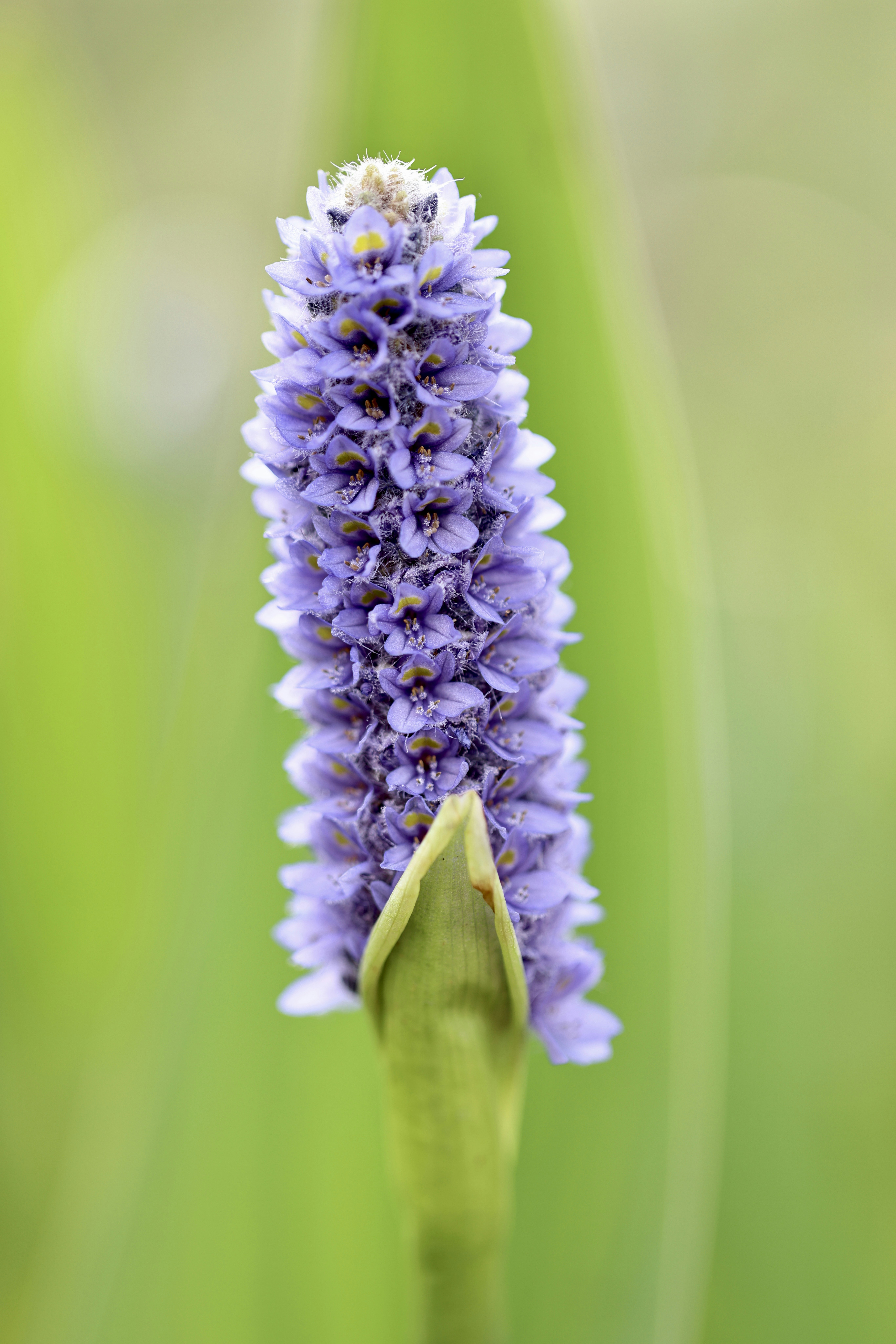 Photo by dickenslin76