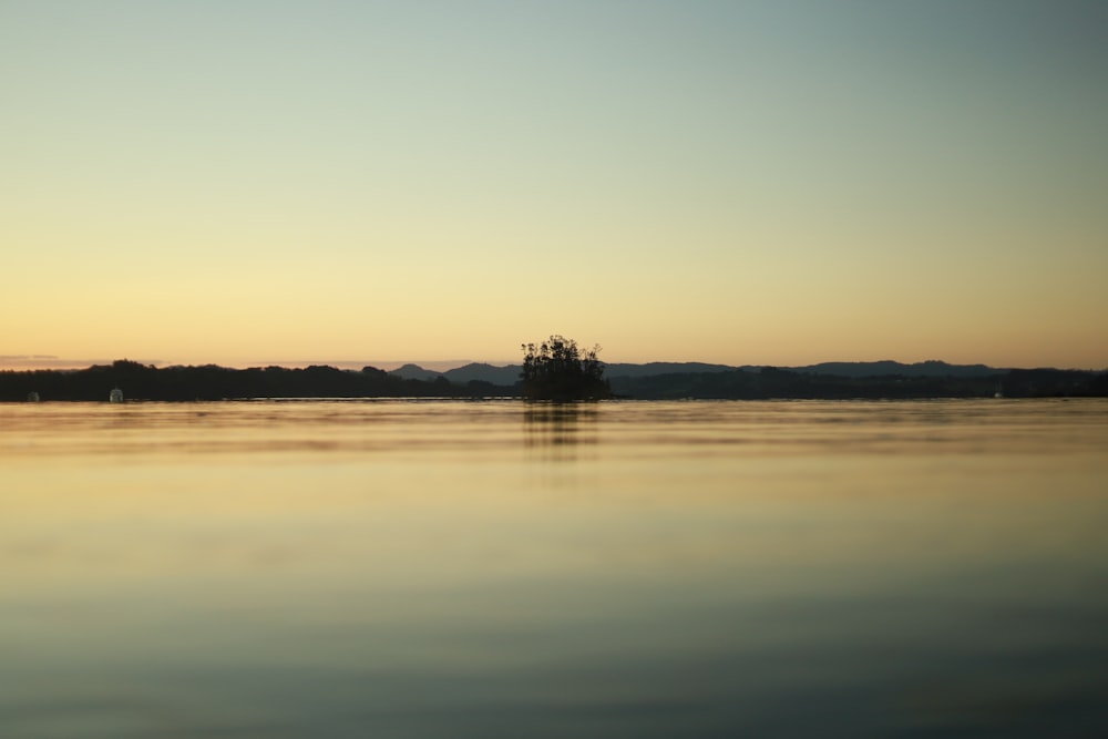 Un barco en el agua