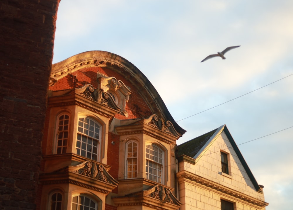 a bird flying over a building