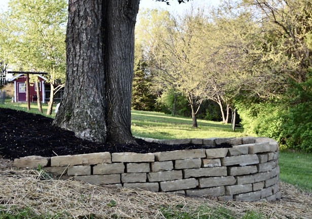 A large tree is surrounded by a neatly constructed stone retaining wall on a grassy slope. In the background, there's a small red barn-like structure. Lush green trees and shrubs fill the scenery, suggesting a rustic, country setting.