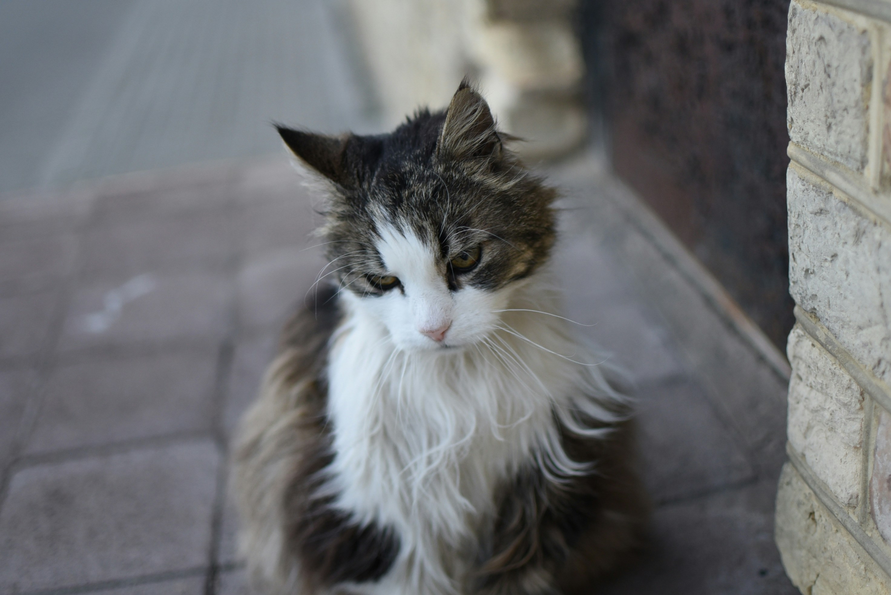 Changes in the Household (image credits: unsplash)