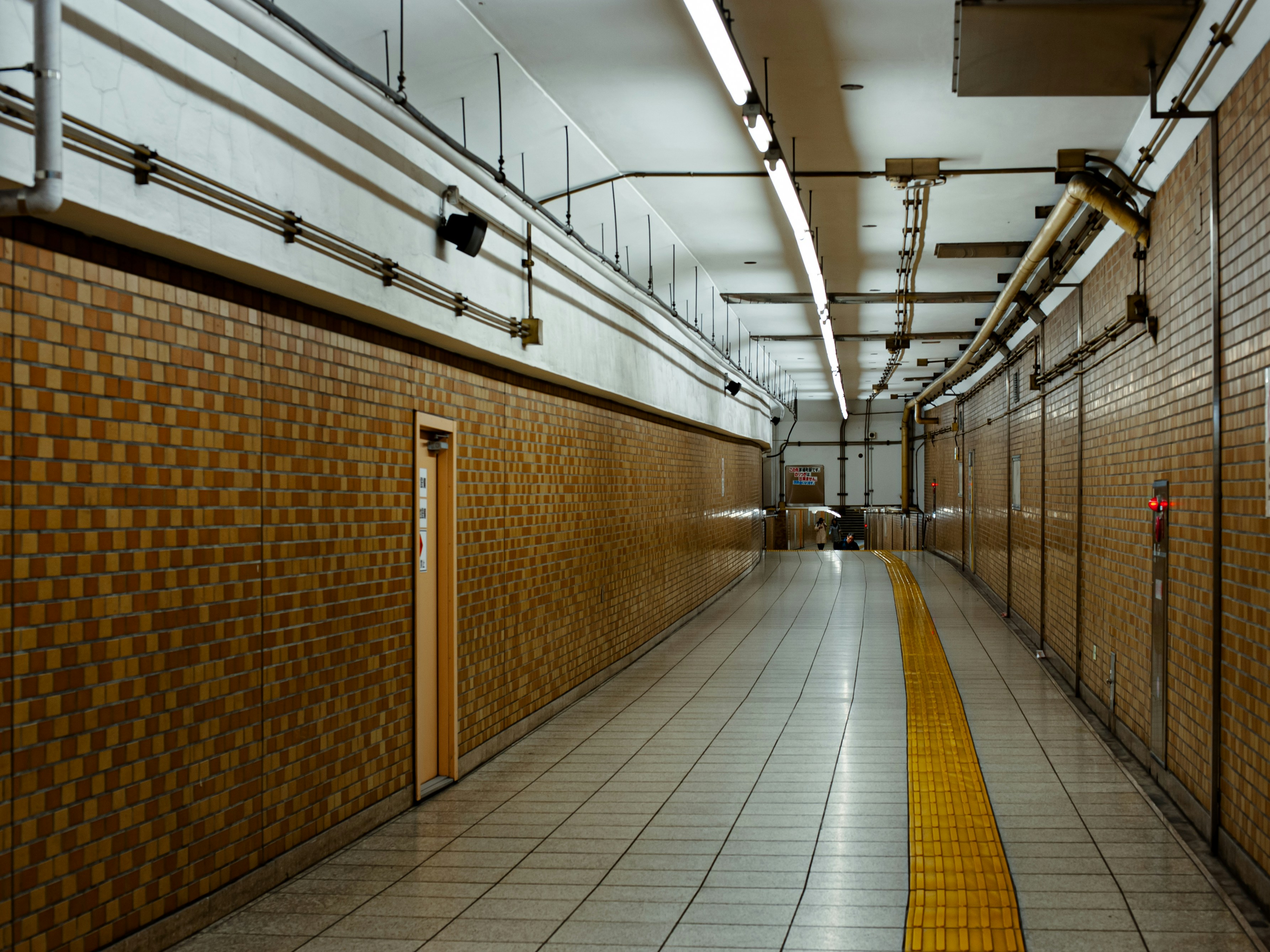 通過心理模型學習任何事物的 10 秘密