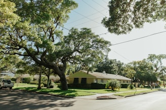 a house with trees and grass