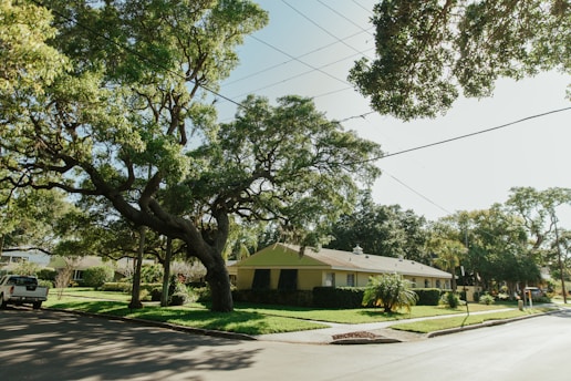 a house with trees and grass