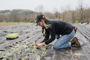 Career Expert Global-Jobs in Agriculture-Bosnia
