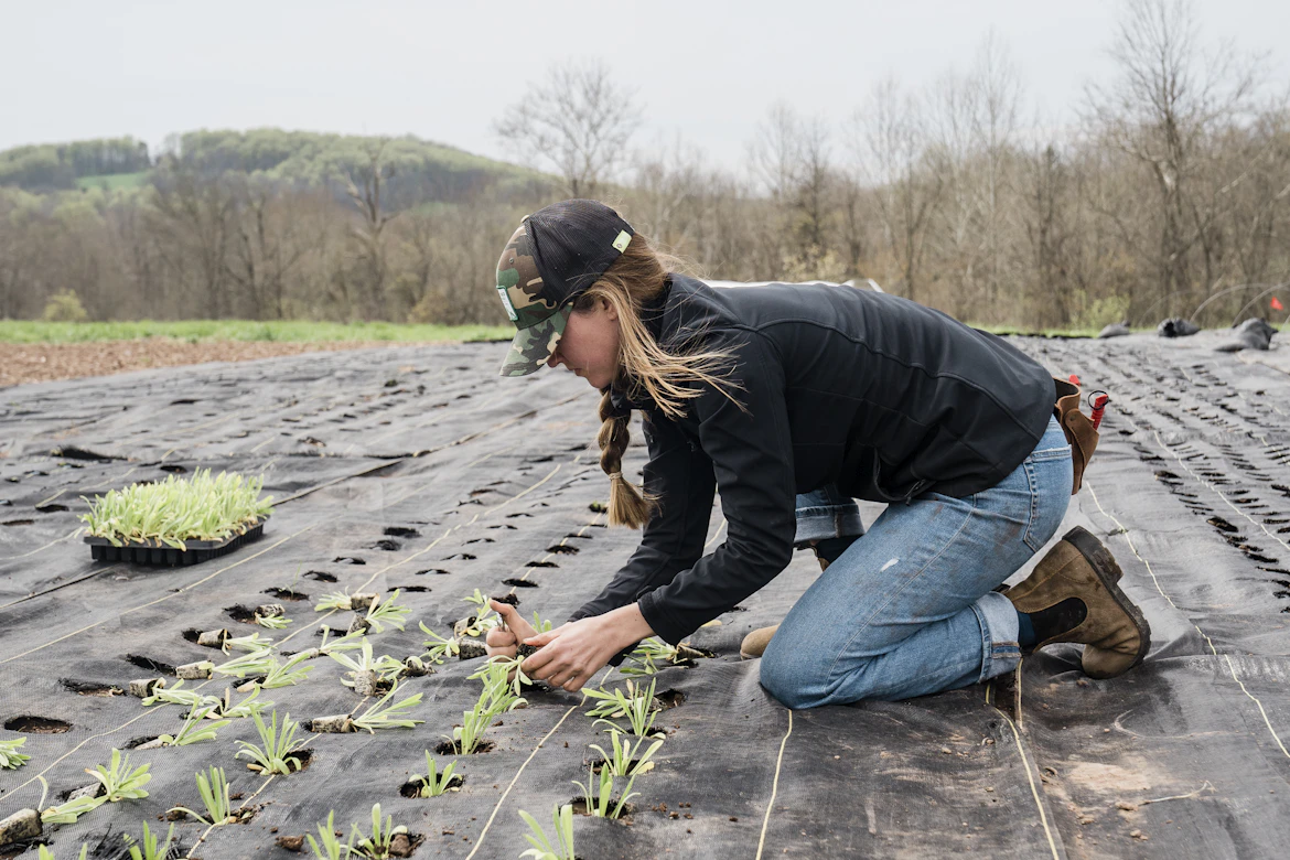 A young volunteer checks a seedling in an urban food forest, part of a climate corps initiative