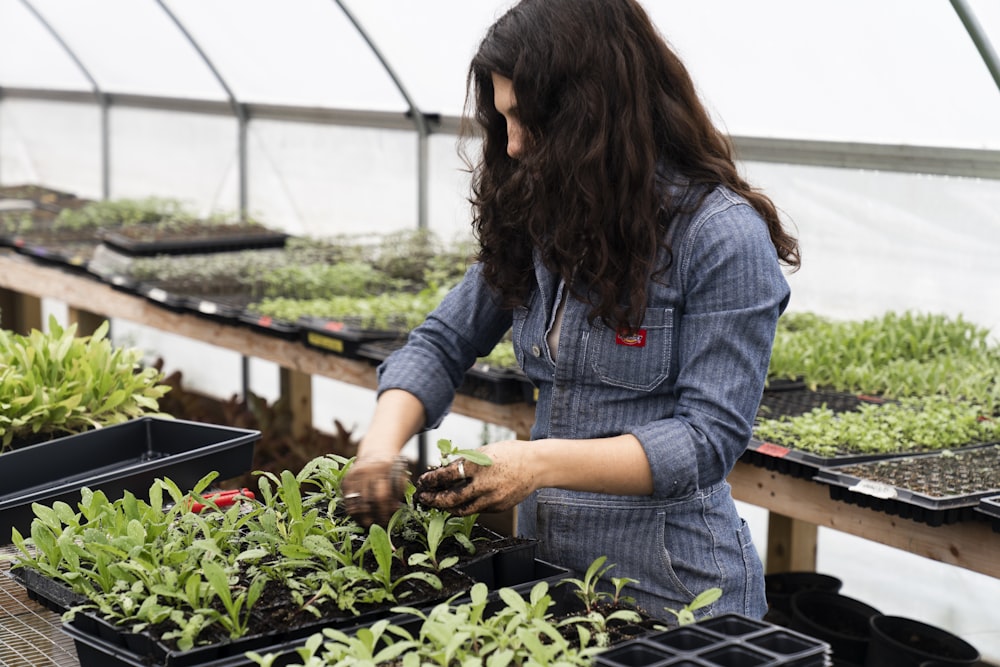 a woman working in a greenhouse