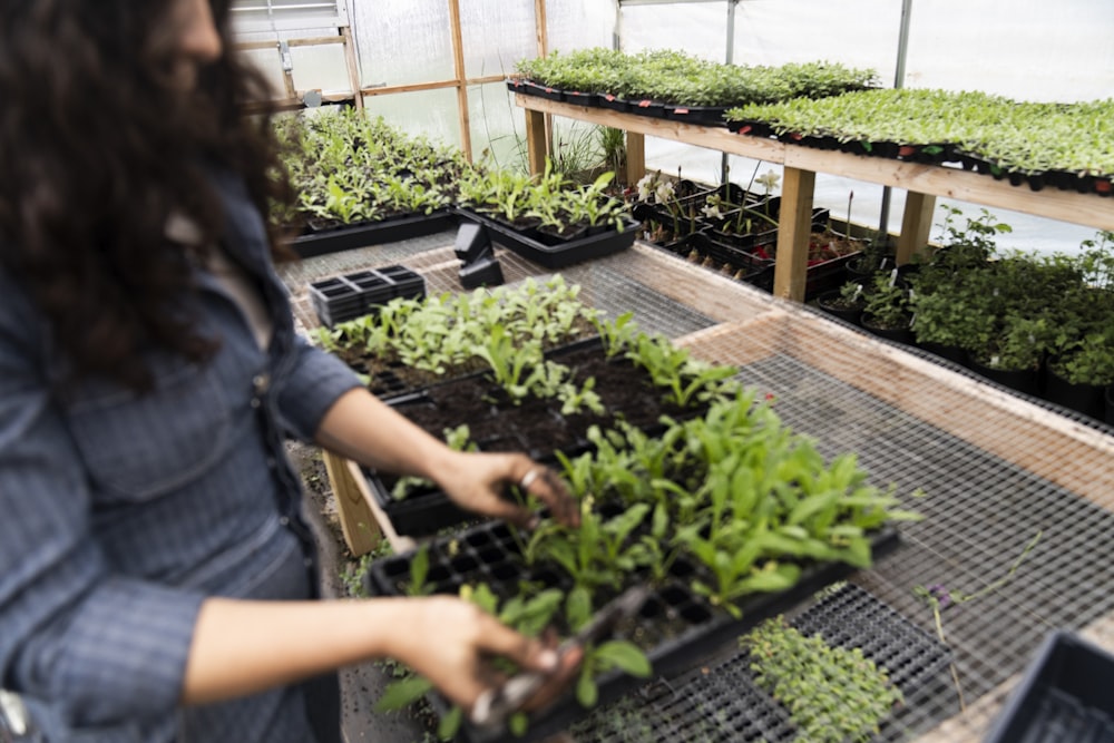 a woman working in a greenhouse