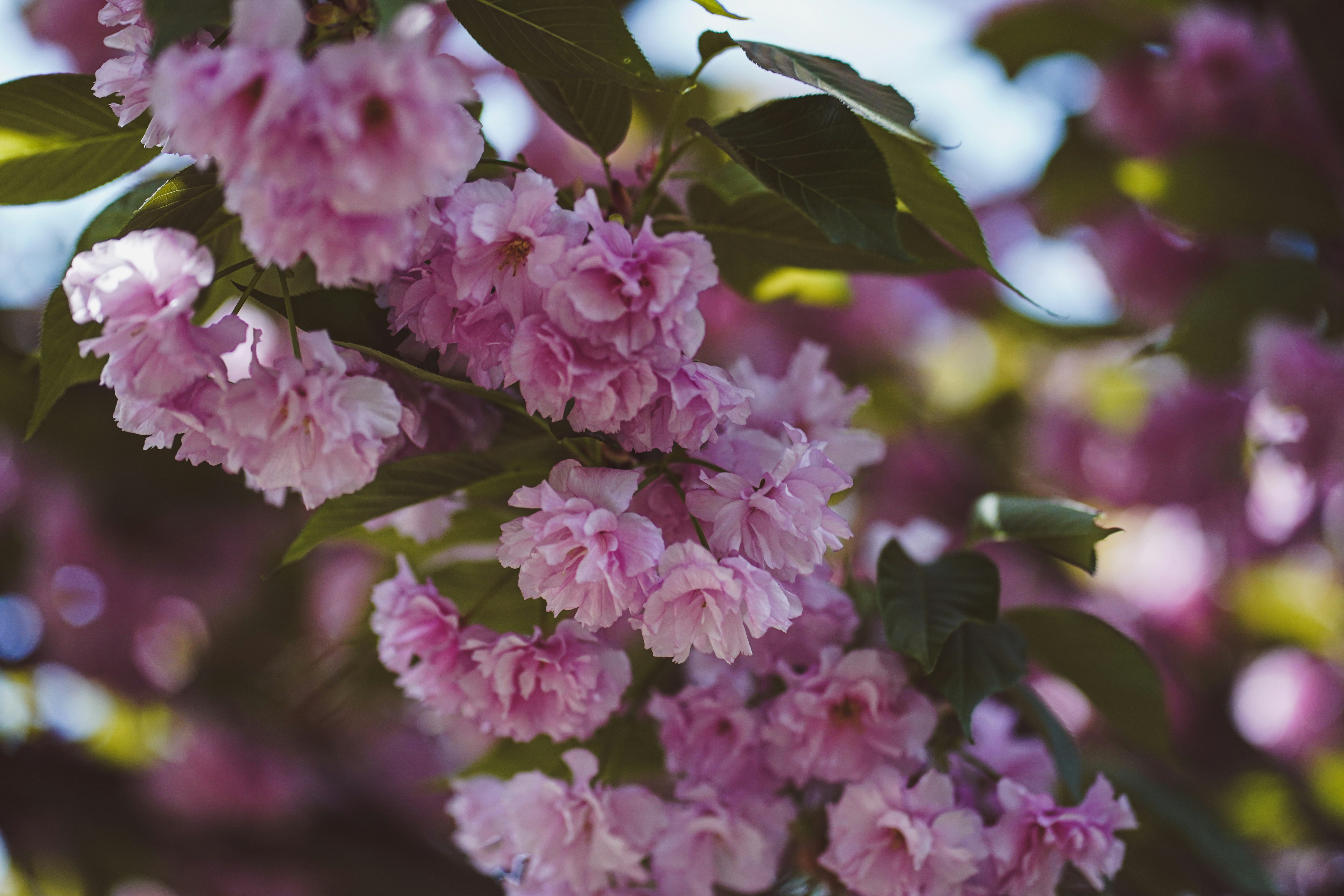 Photo by artcoastdesign