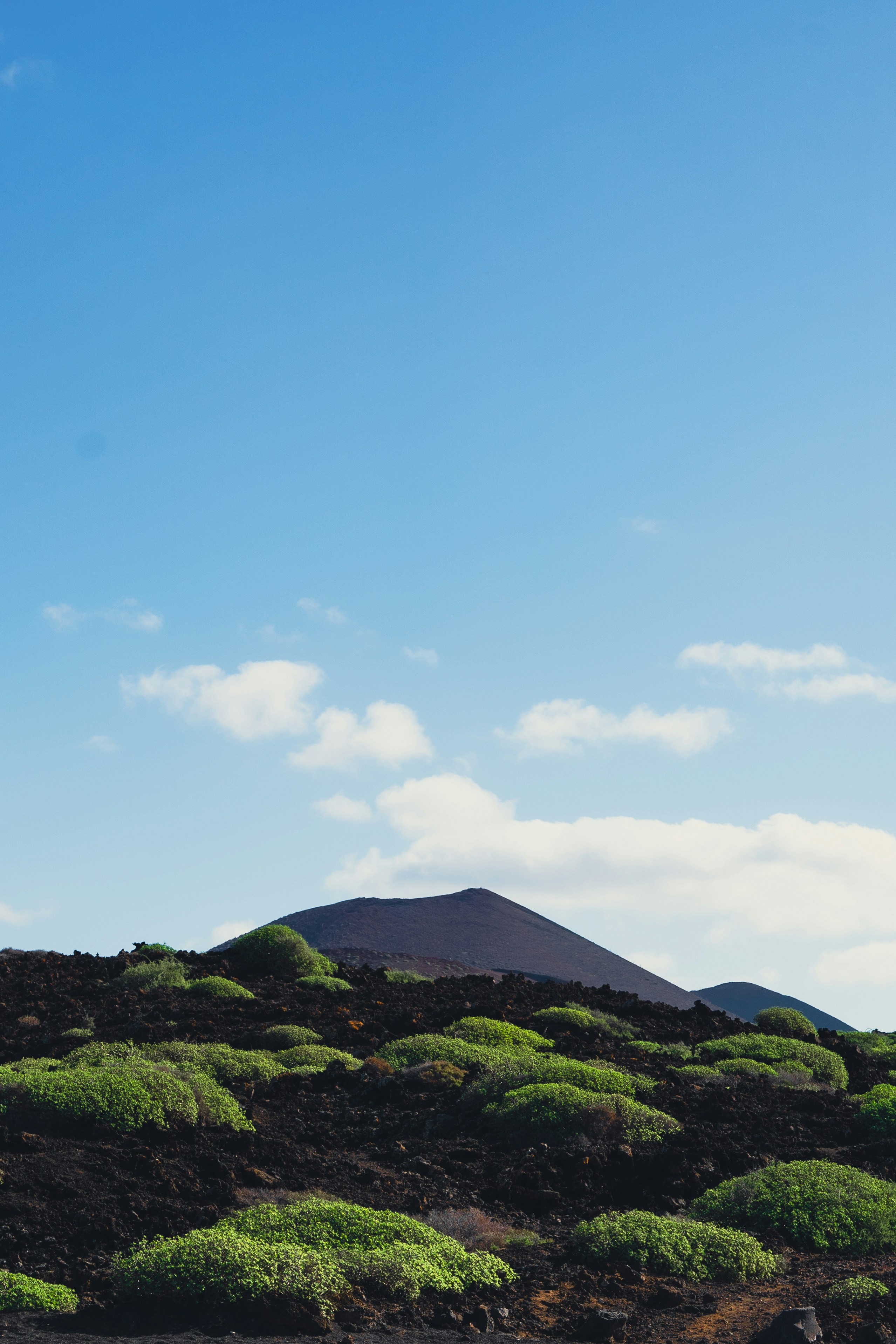 Kit De 2 Silentblocs De Suspension Arrière Fox (ou Compatibles) - Pour Cadre VTT, Roulements étanches