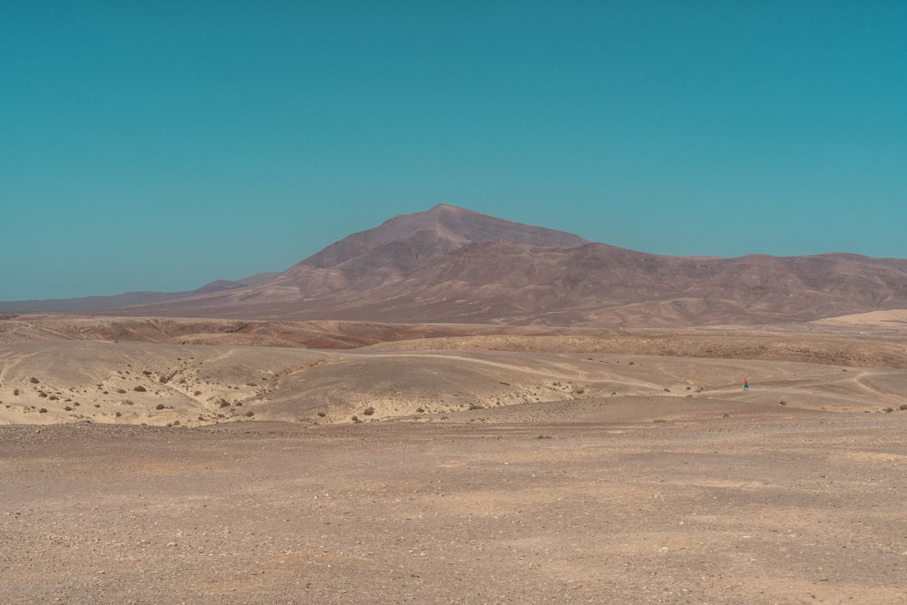 大きな砂漠の風景