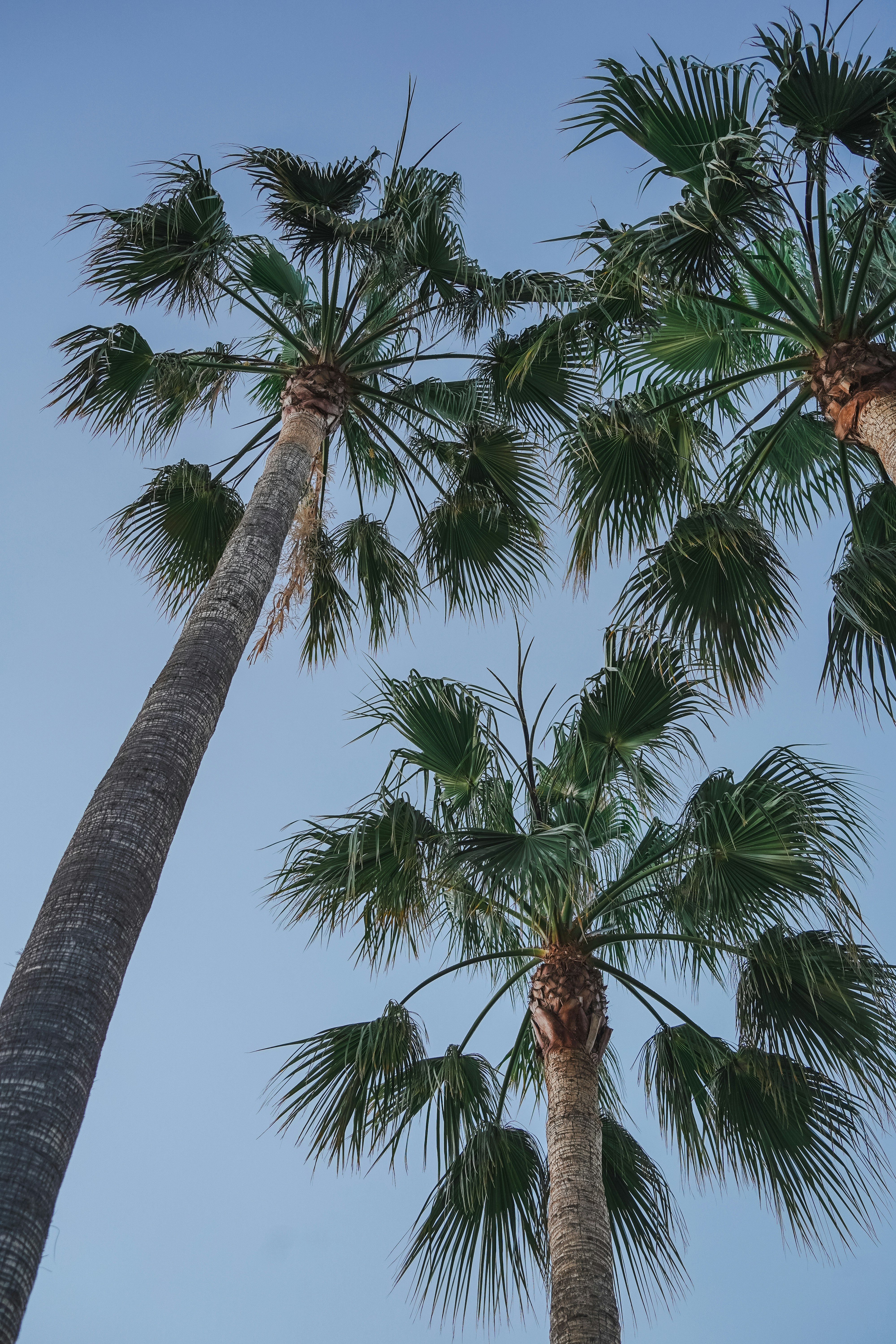 Photo by benjaminelliott