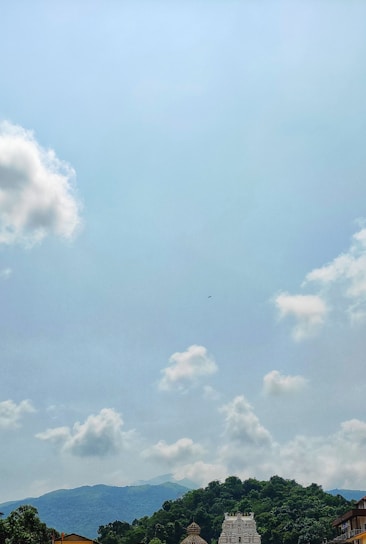 A serene view of Shrimad Rajchandra Mandir in Ralaj surrounded by lush greenery under a clear blue sky.