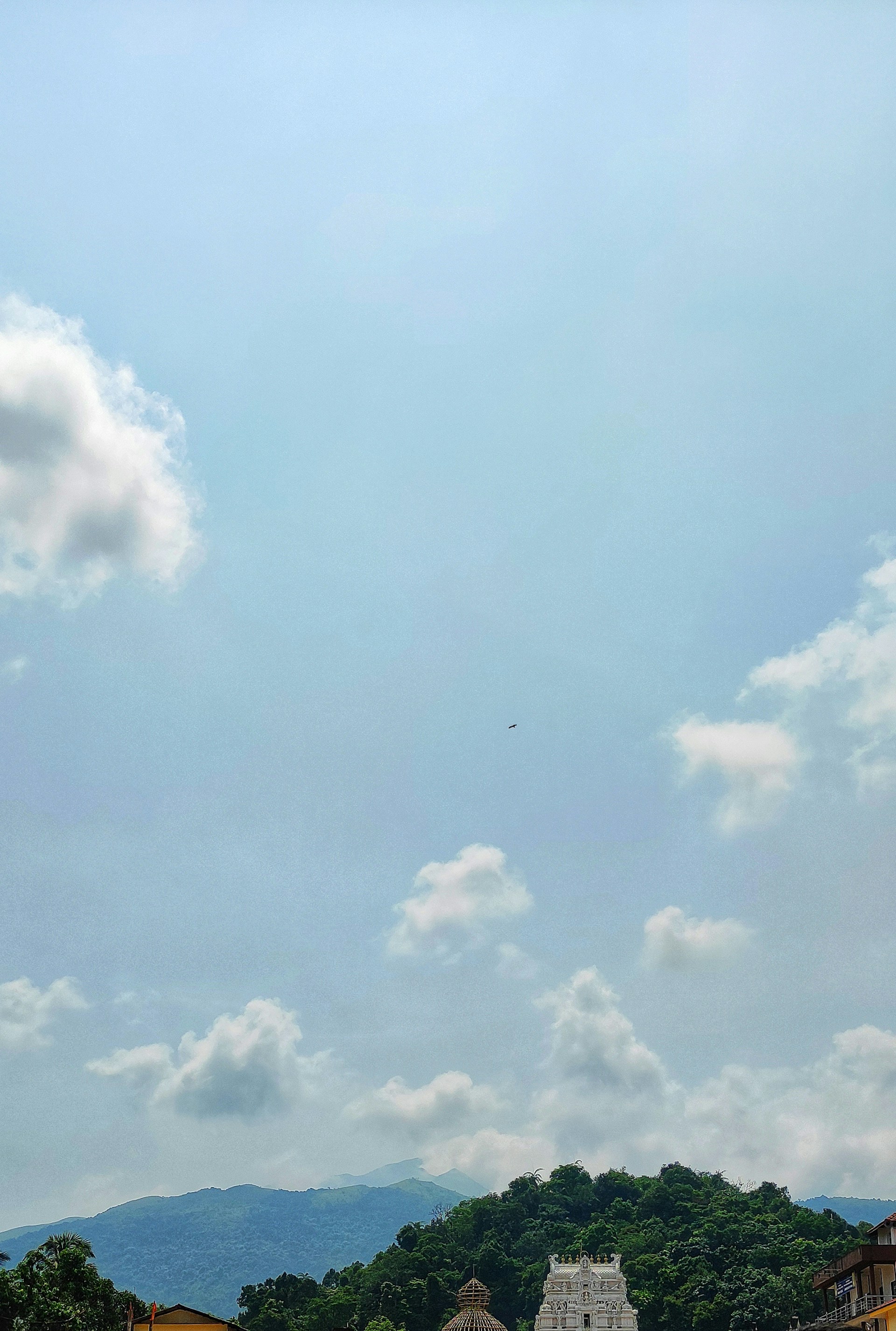 woman wearing yellow long-sleeved dress under white clouds and blue sky during daytime