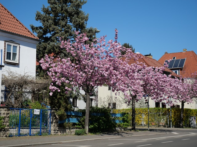 Leipzig Graduate School of Management