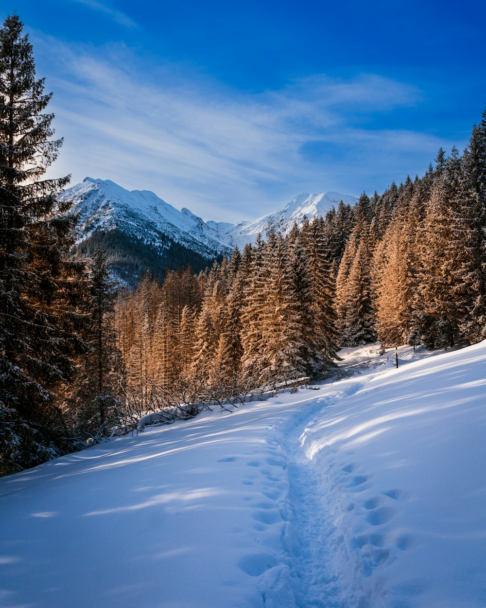 a snowy mountain side