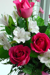 a bouquet of flowers