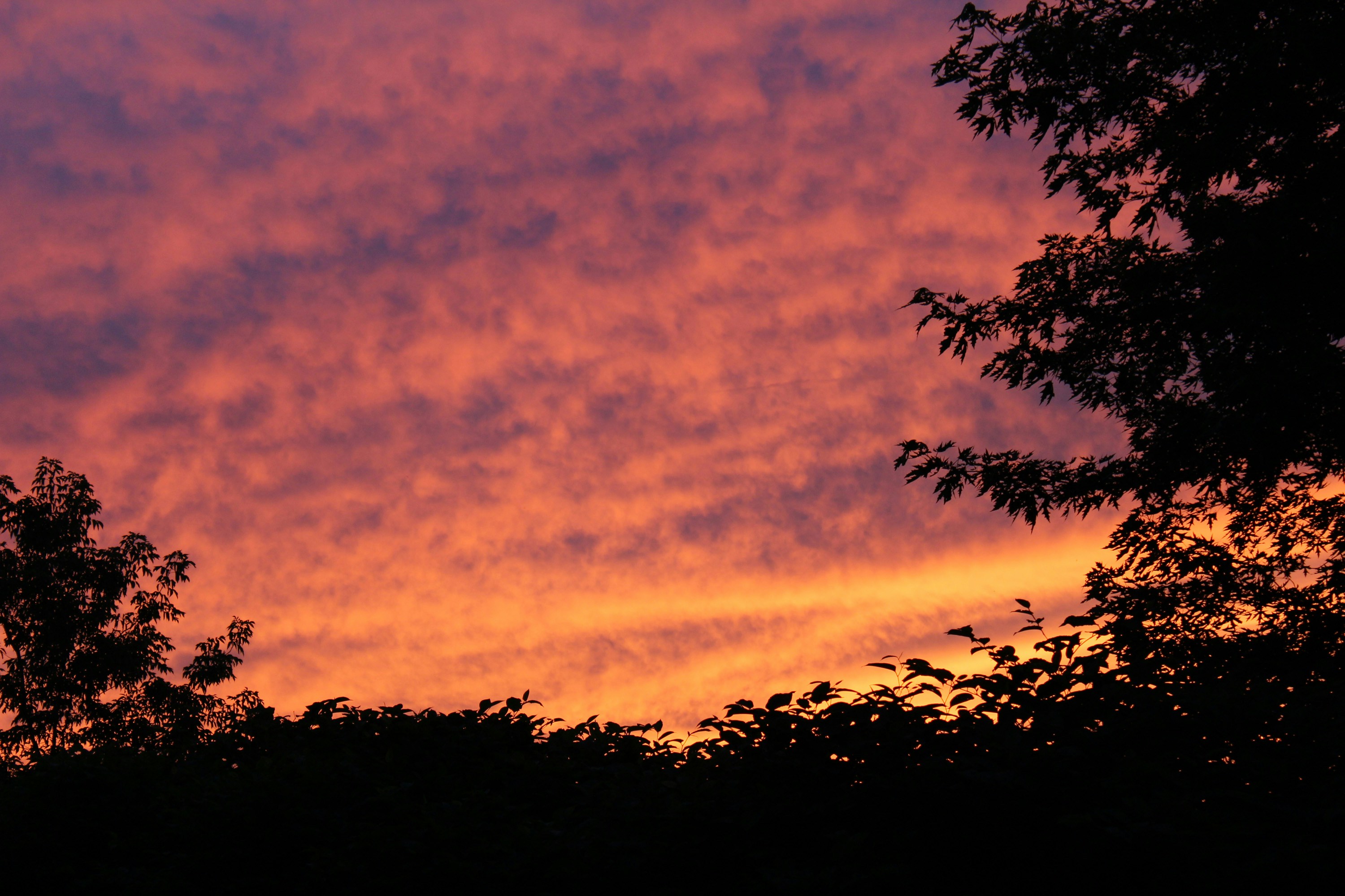 Photo by anniethingspossible