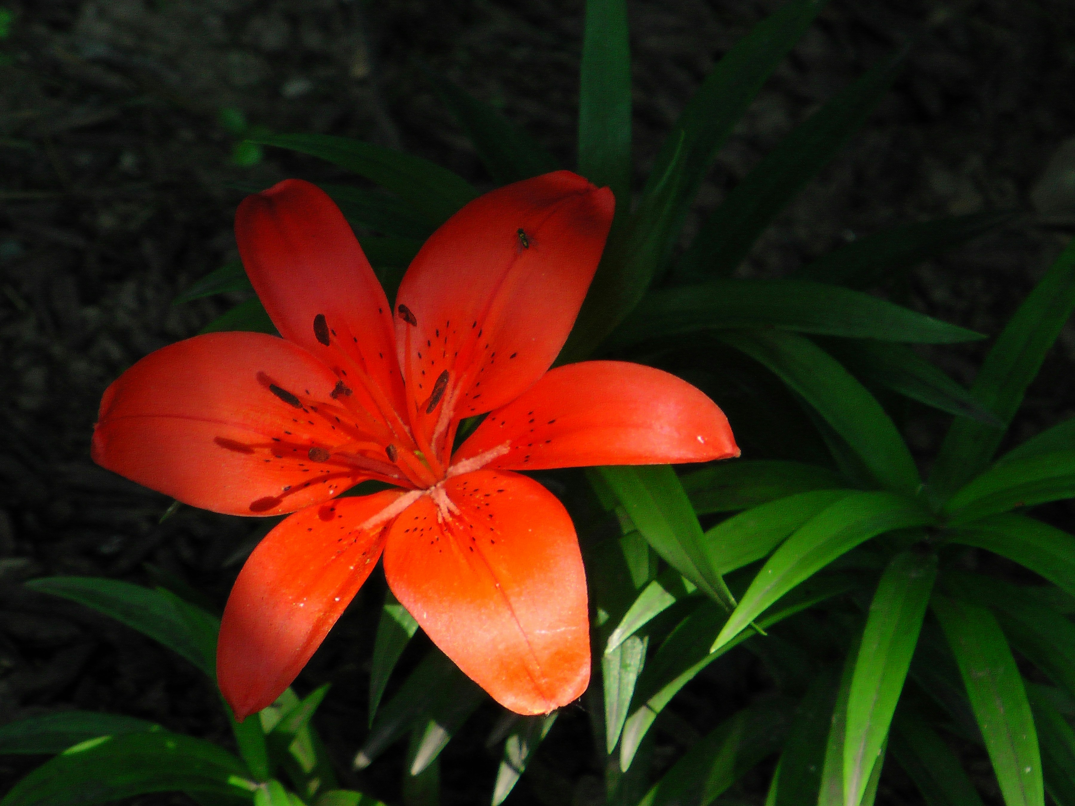 Photo by anniethingspossible