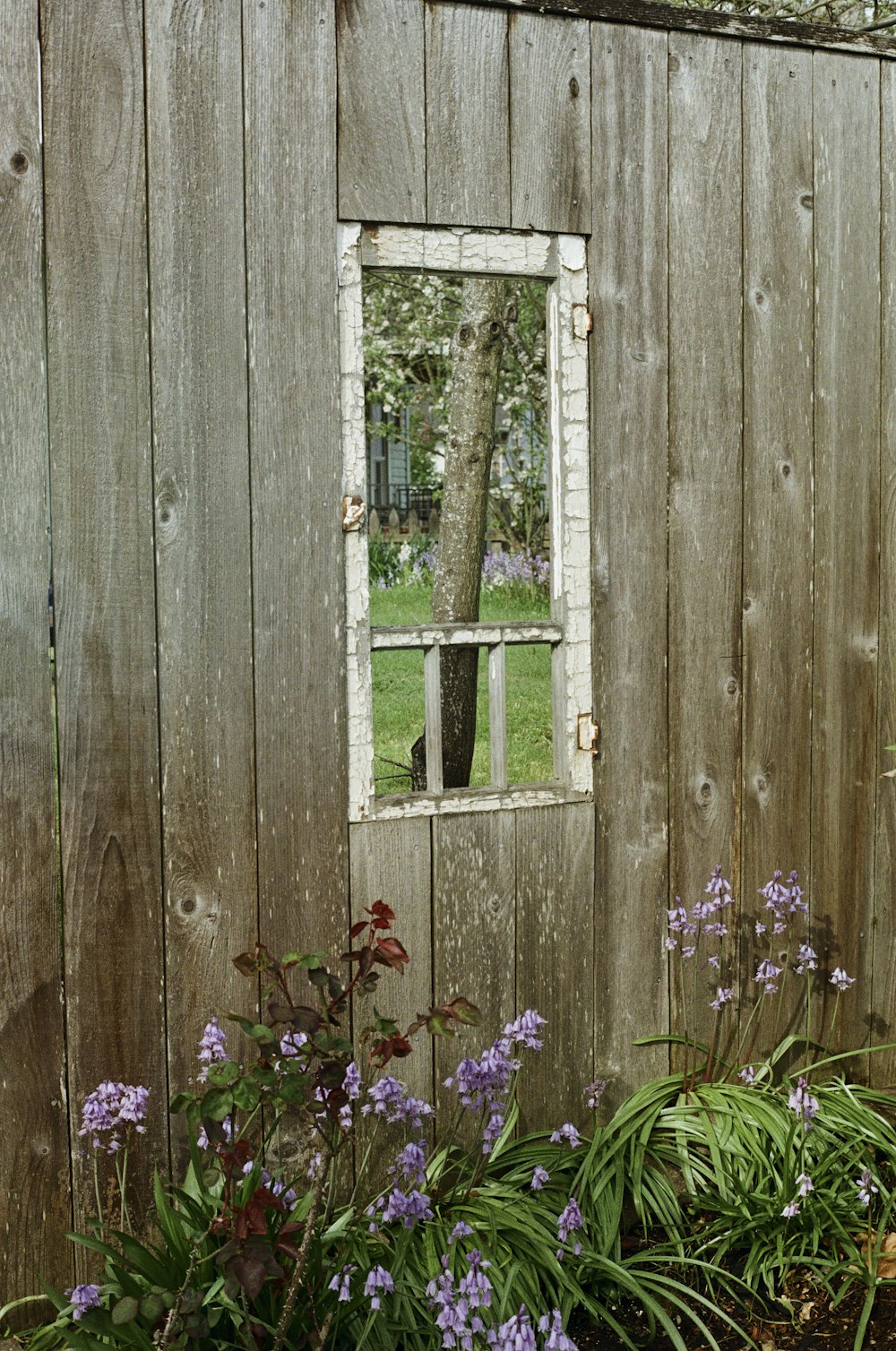 a window in a wooden building