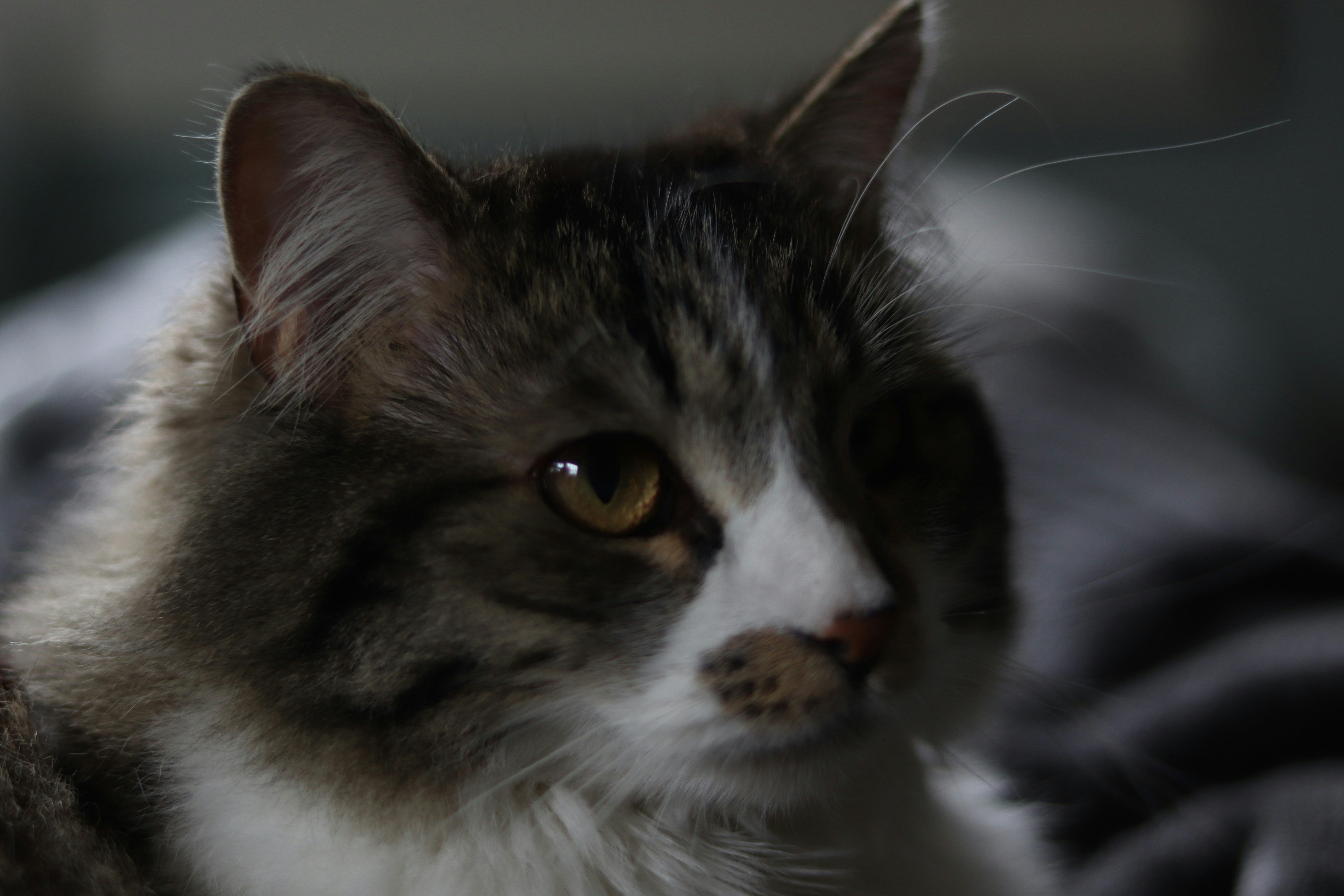 Photo by sky_michael