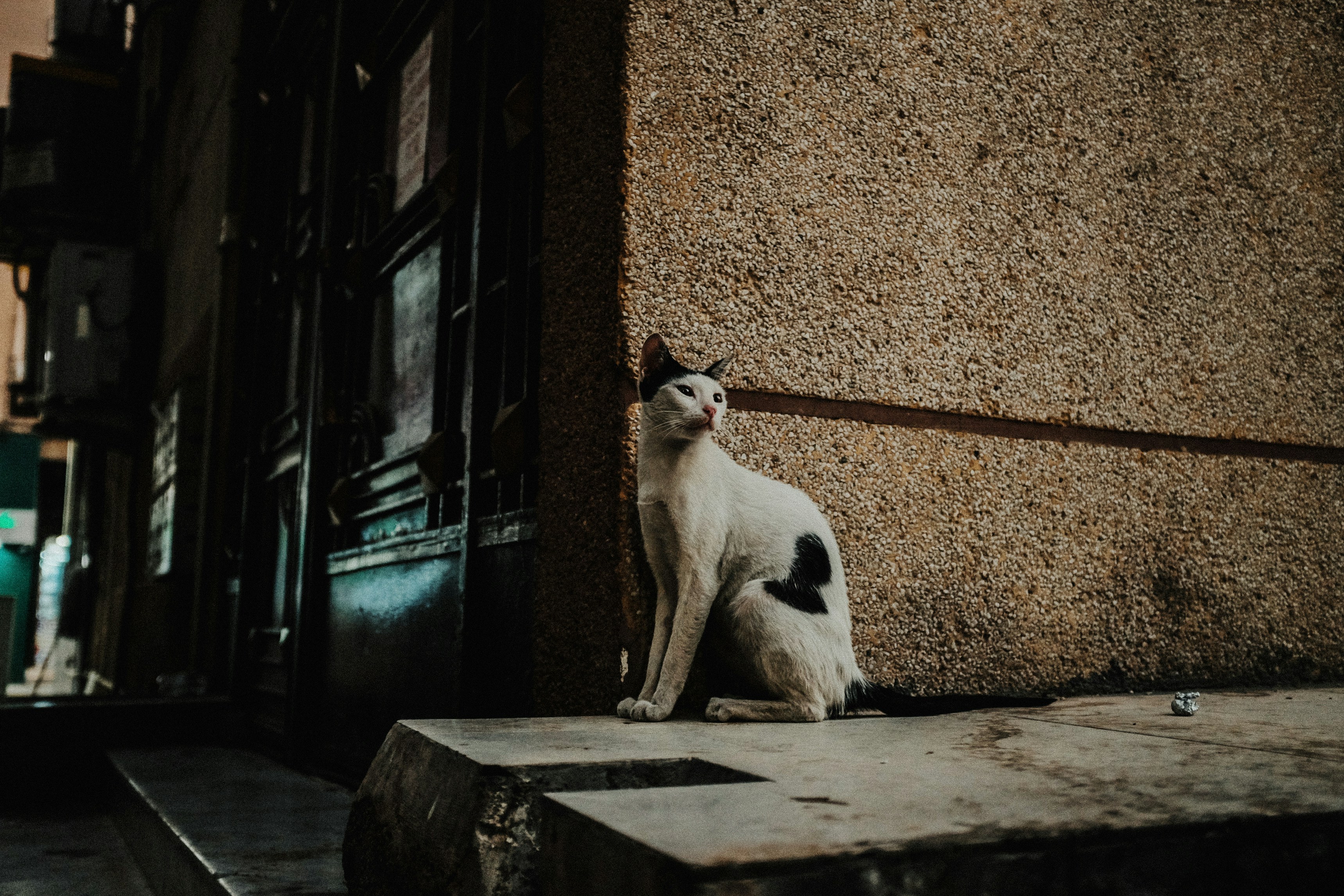 Photo by iamjhunelle