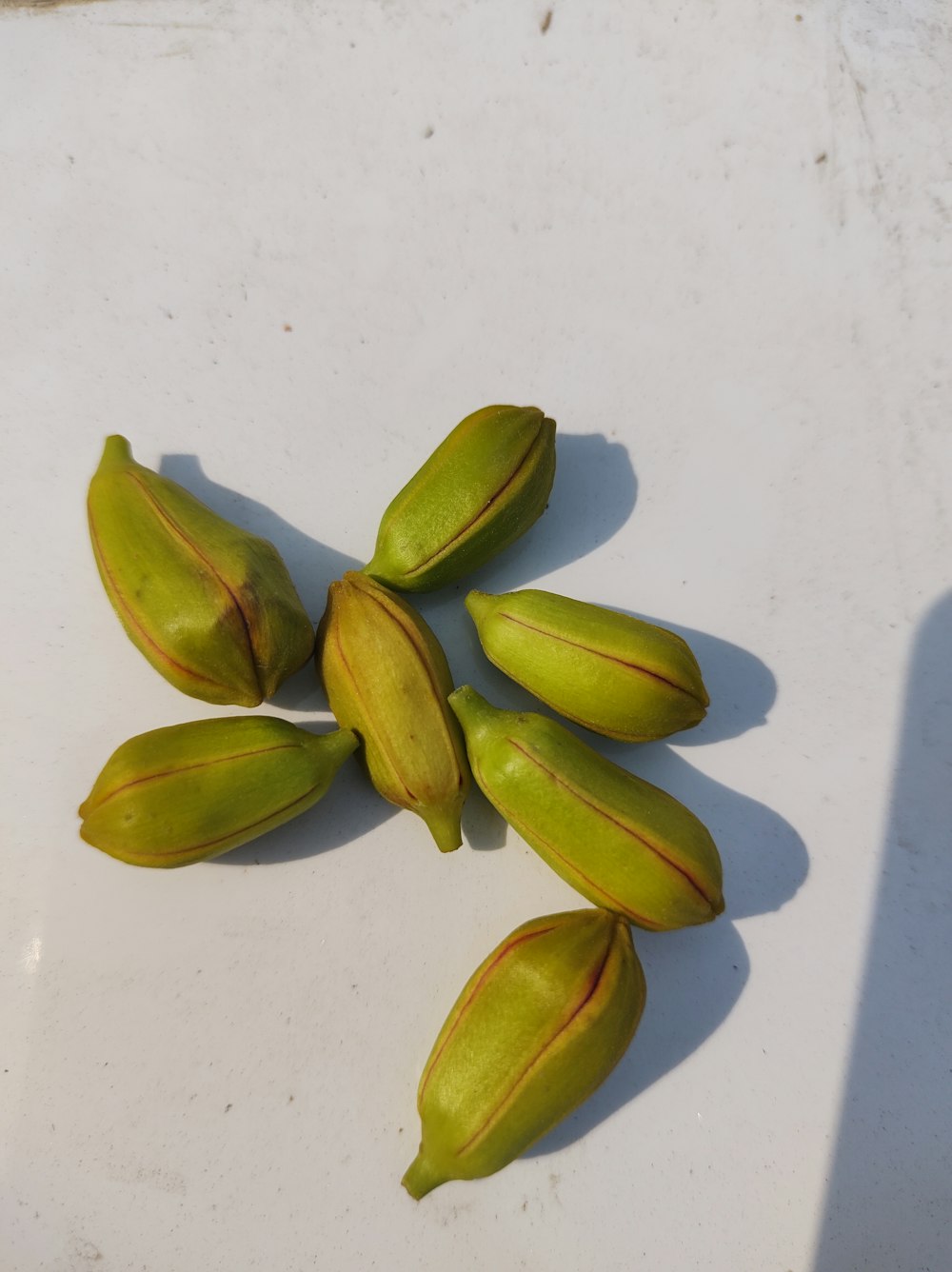 a group of green fruits