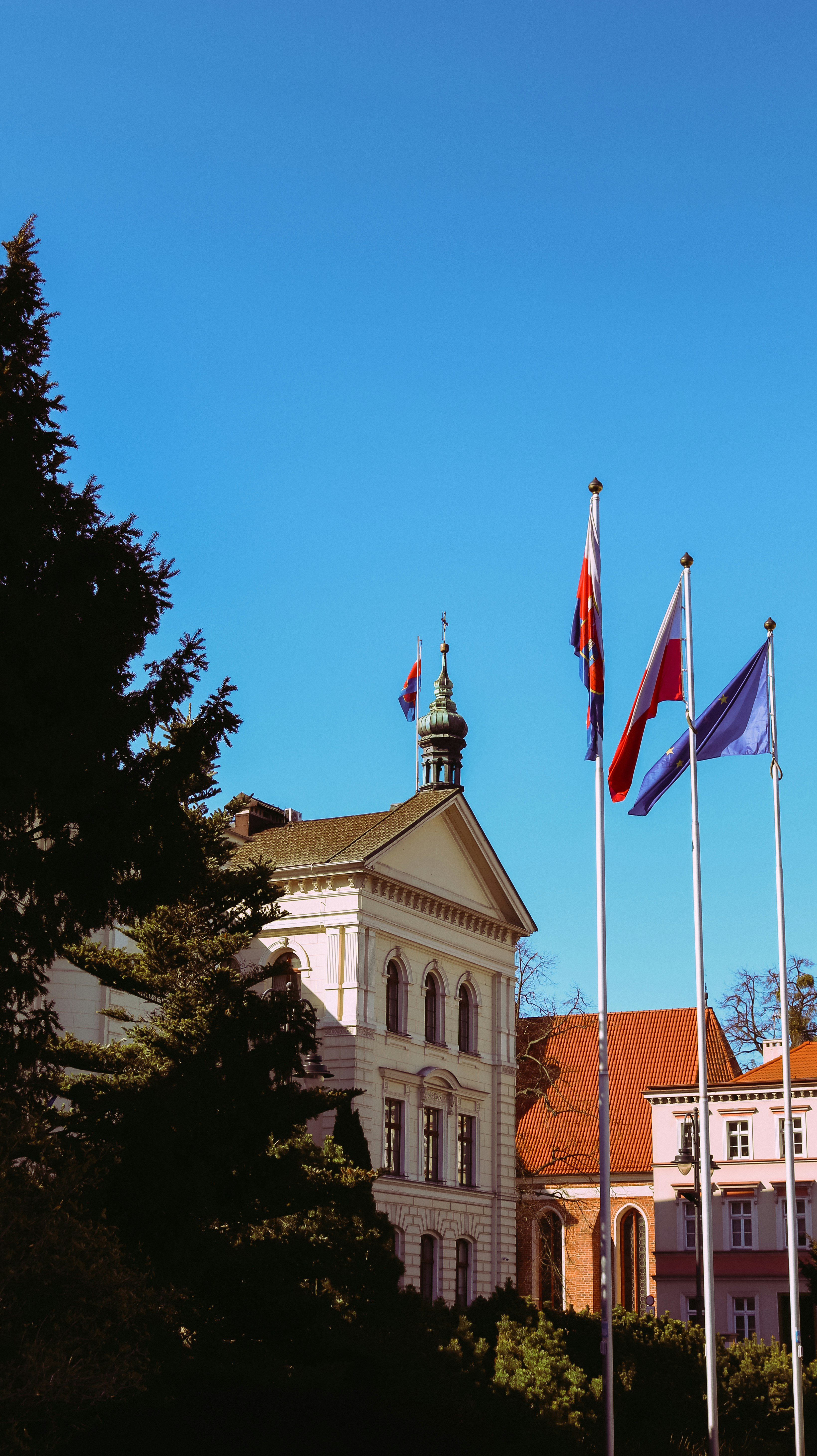 A group of flags in front of a building photo – Free Bydgoszcz Image on ...