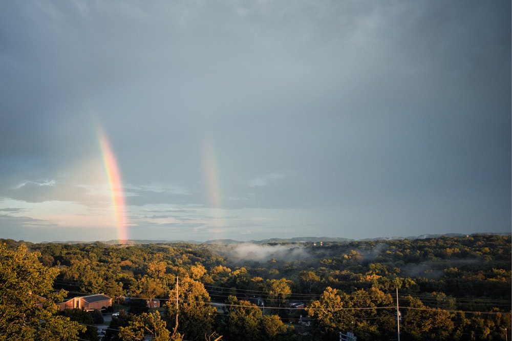 a rainbow over a forest