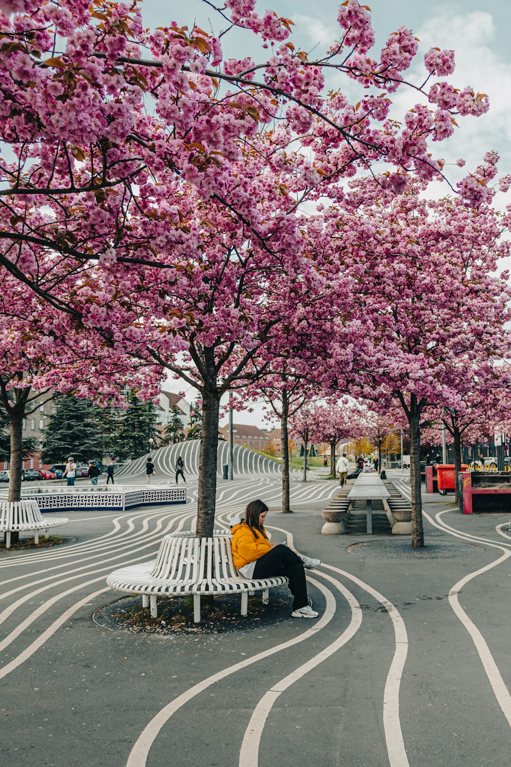 a person sitting on a bench under a tree with pink blossoms