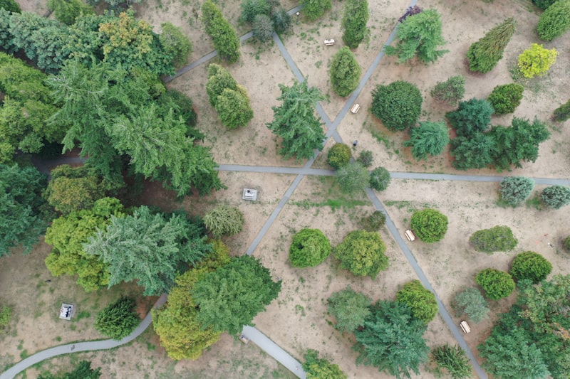 jalur pejalan kaki di hutan kota jakarta dengan pepohonan rindang