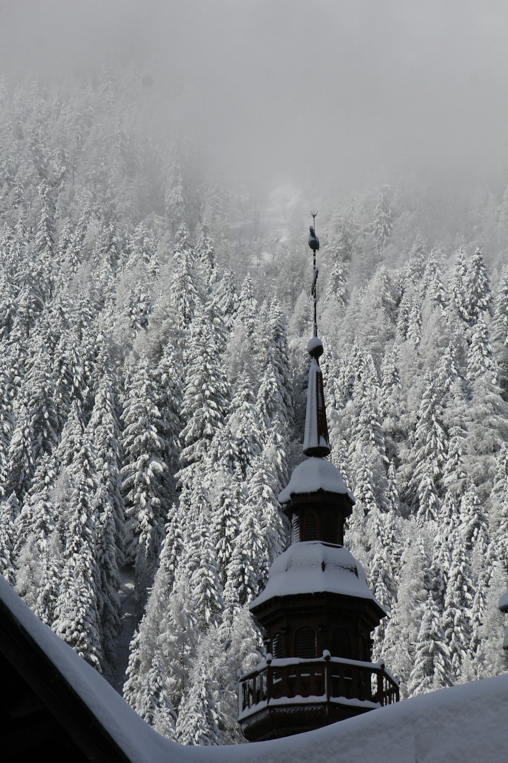 un edificio con una torre circondata da alberi innevati