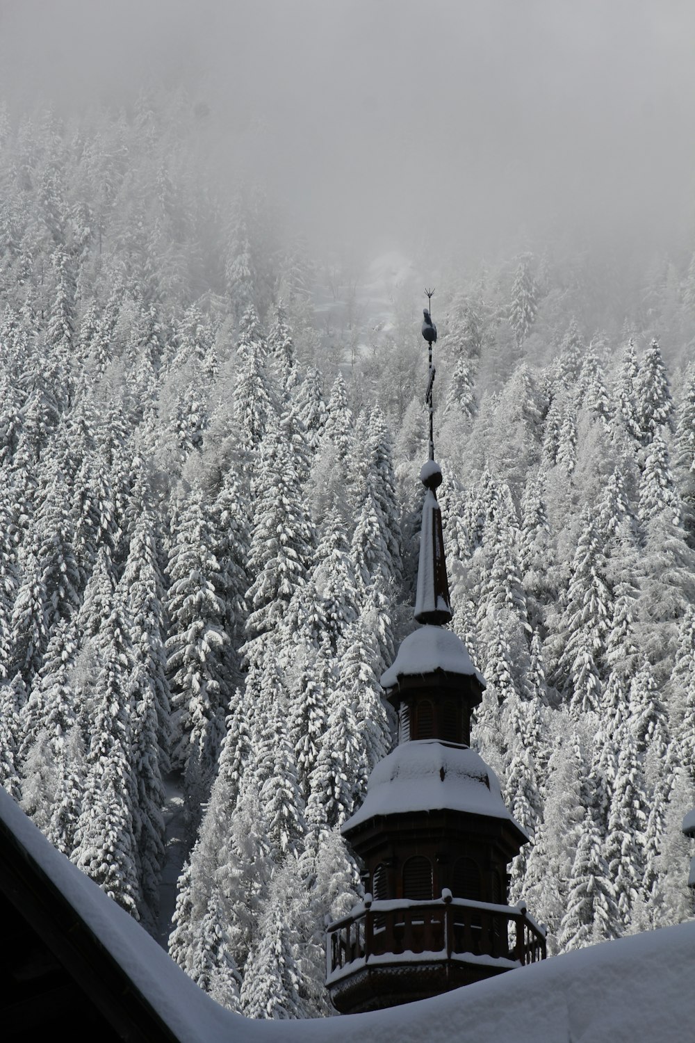a building with a tower surrounded by snow covered trees