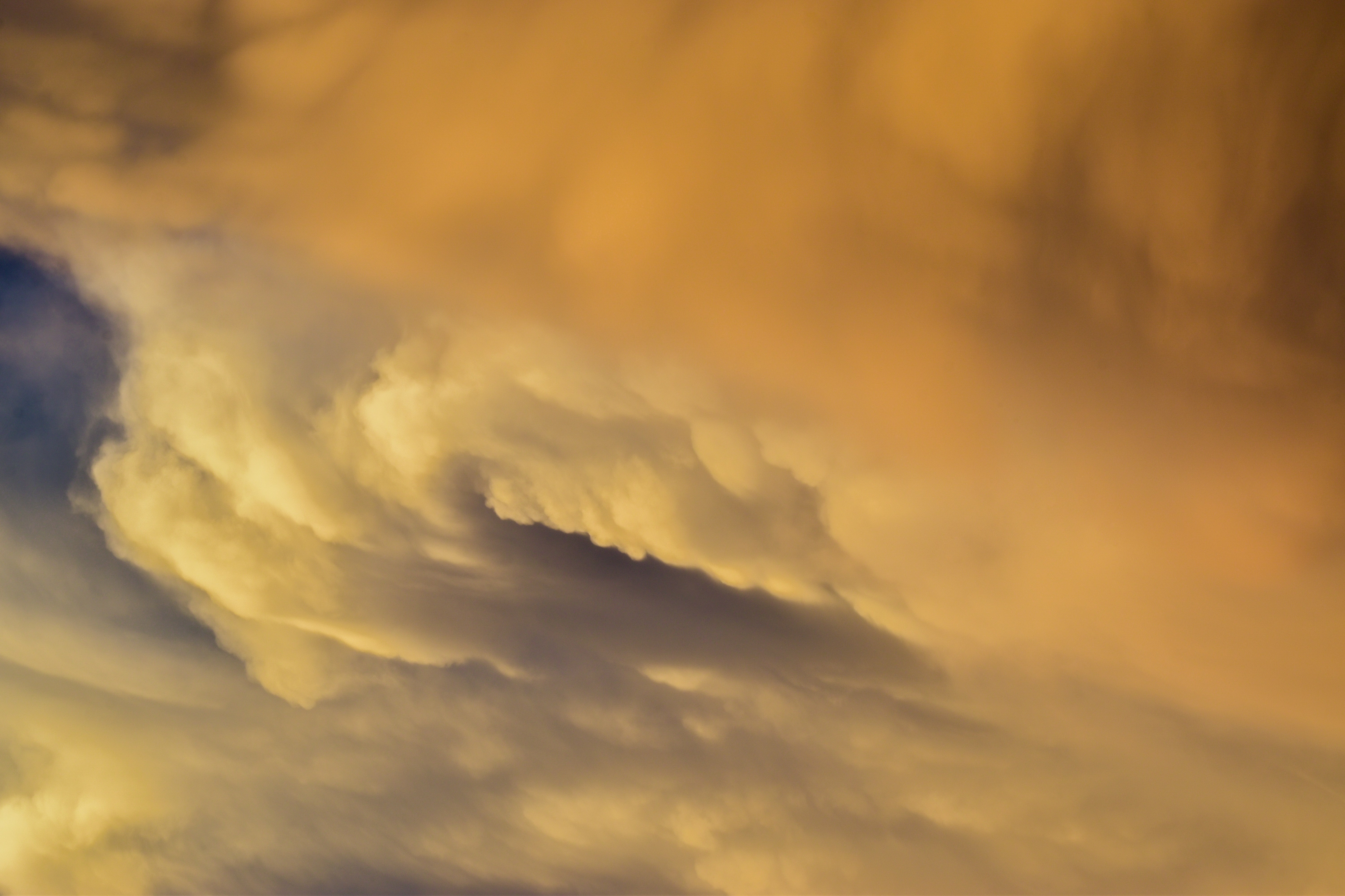 Photo by navi_photography