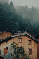 Cozy wooden cottage with large windows overlooking pine trees on a misty morning.
