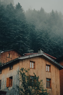 A wooden house with large windows is surrounded by dense, misty pine forest. The structure is two-storied, with a rustic and natural exterior. The environment appears serene and secluded, with a mist enveloping the tall trees behind the house.