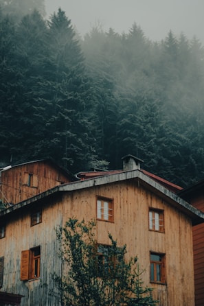 Cozy wooden cottage with large windows overlooking pine trees on a misty morning.