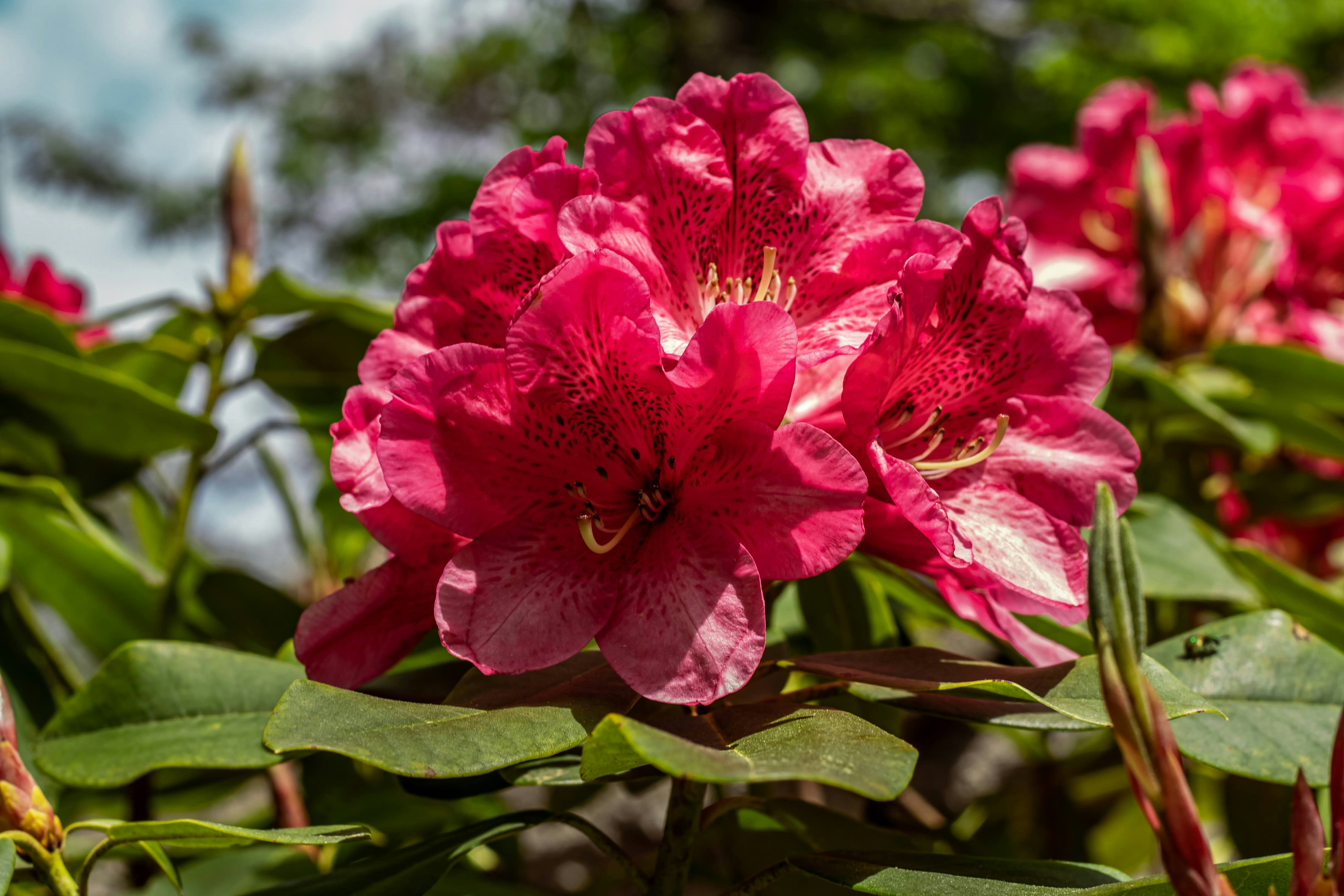 Photo by brice_cooper18