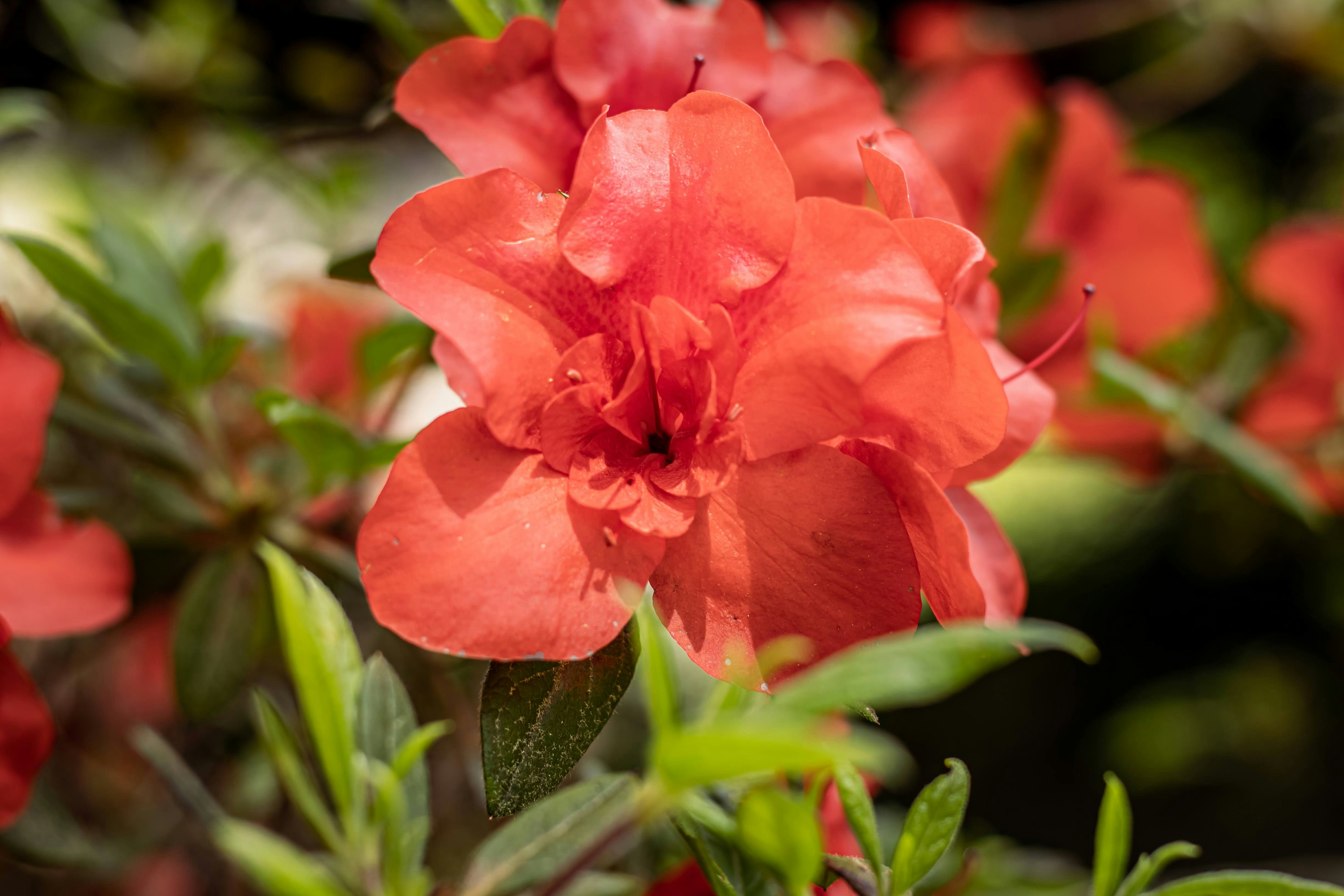 Photo by brice_cooper18