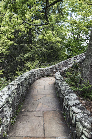 A charming stone pathway winding through lush greenery beside the hotel.