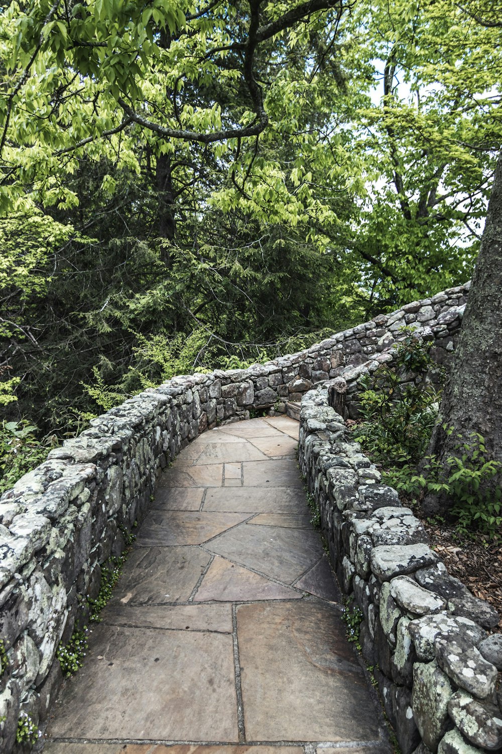 a stone wall with trees on the side