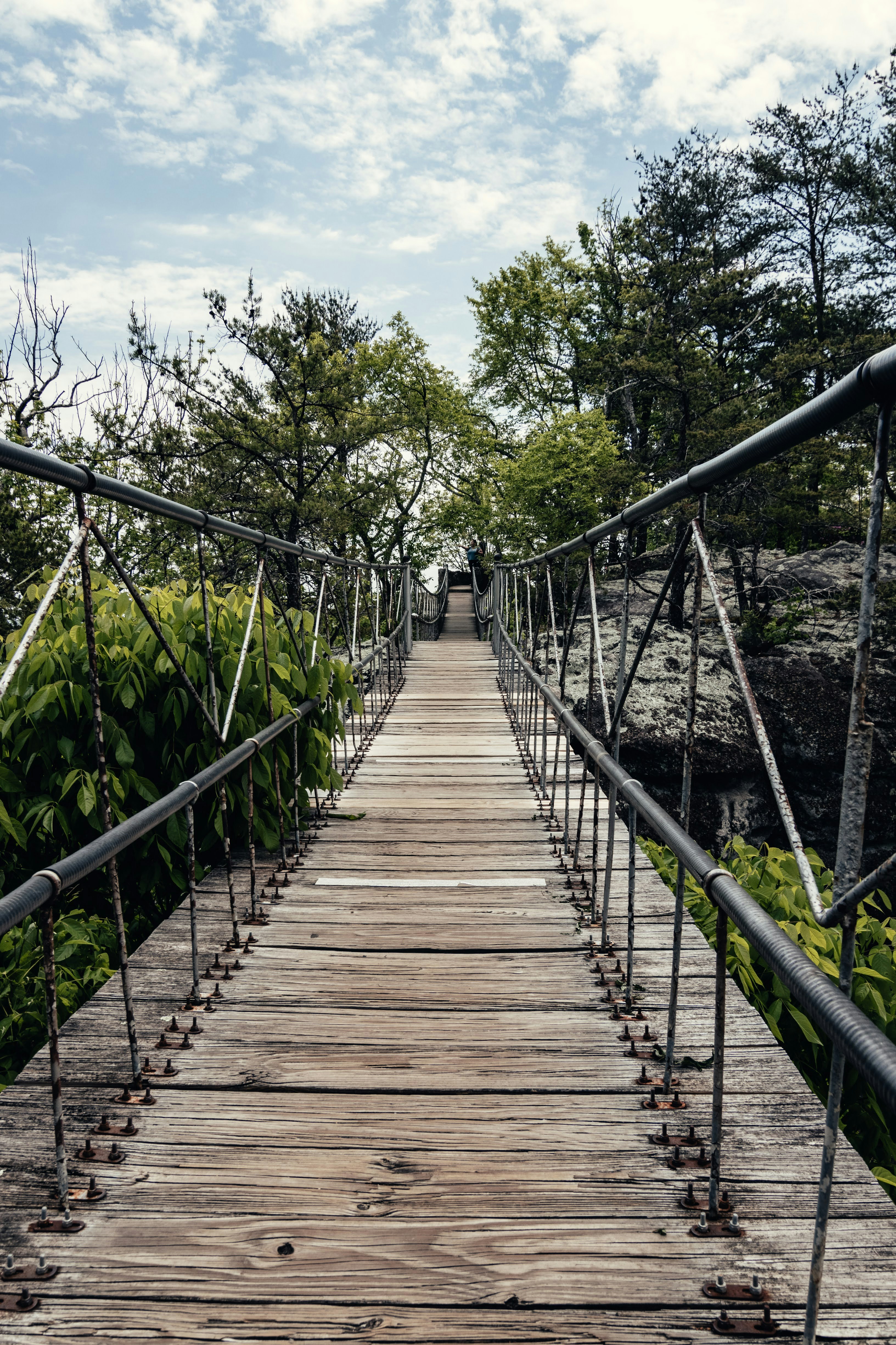 Altcoins Are Bleeding As Bitcoin Dominance Rises - A Recovery Timing Guide