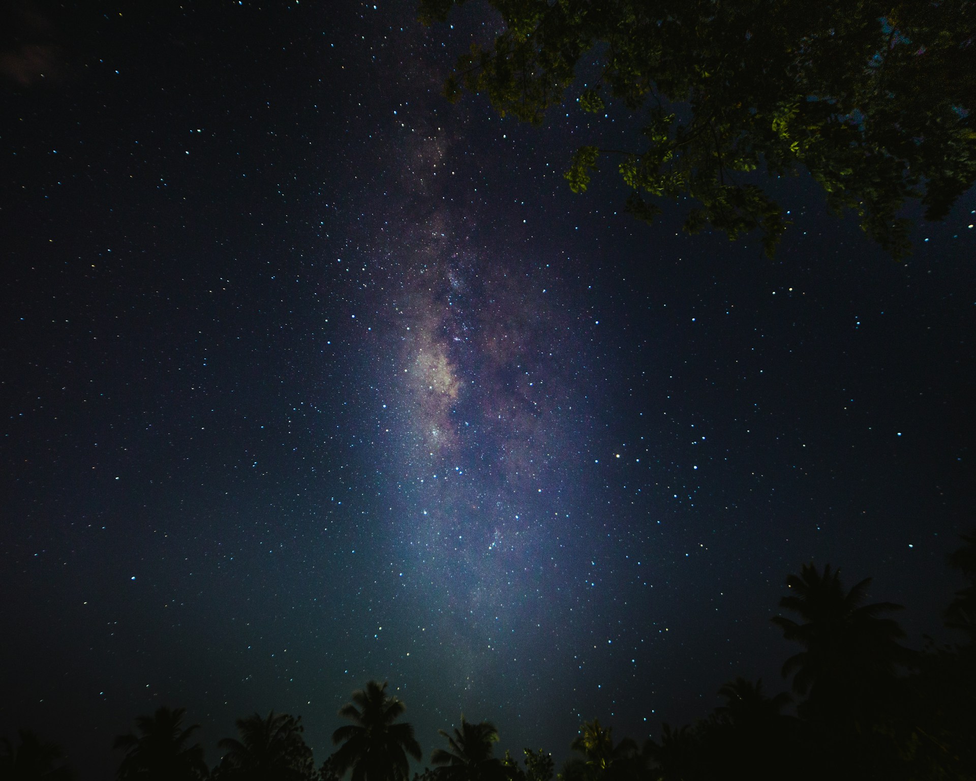 a starry night sky with trees
