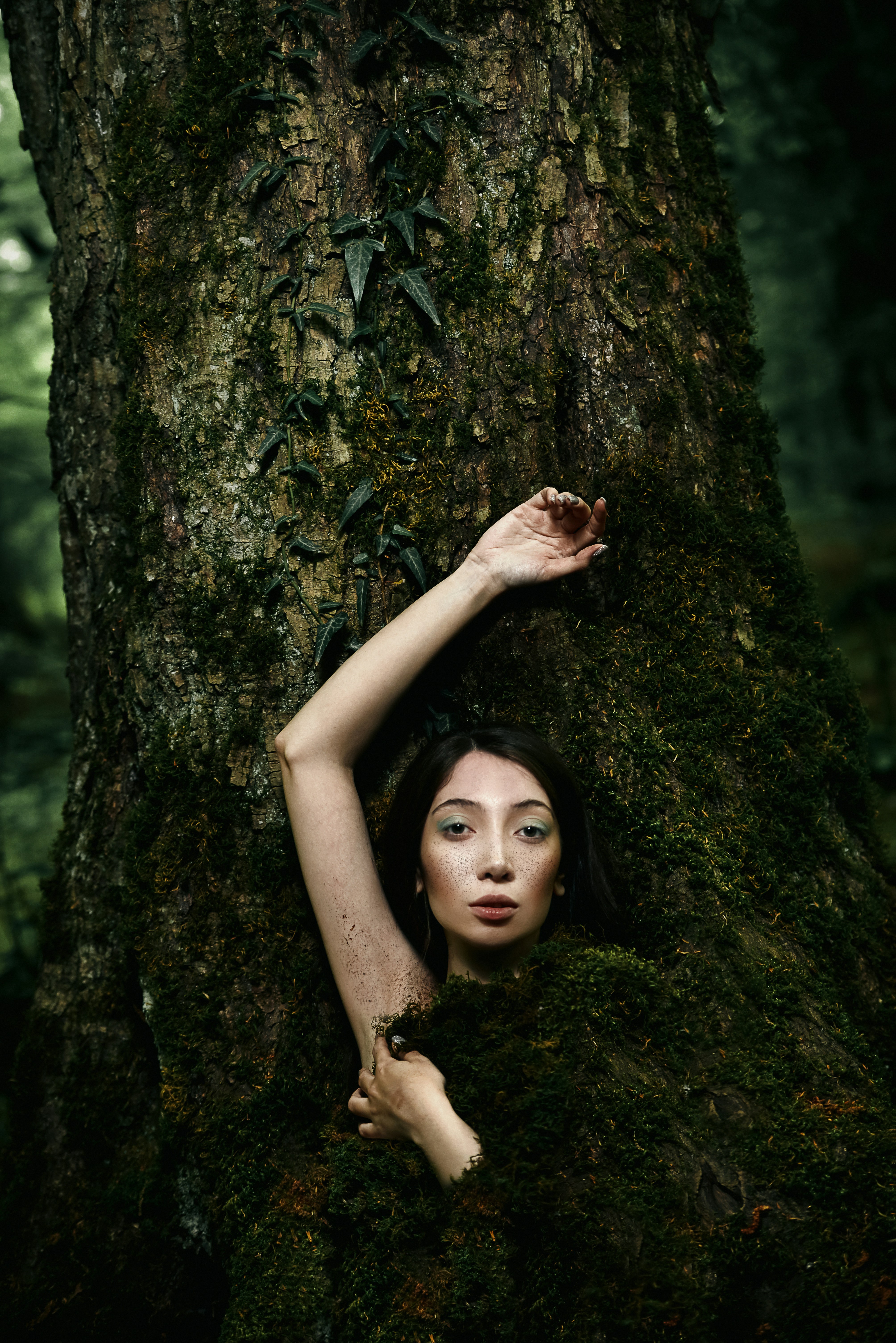 A person in a tree photo – Free Art Image on Unsplash