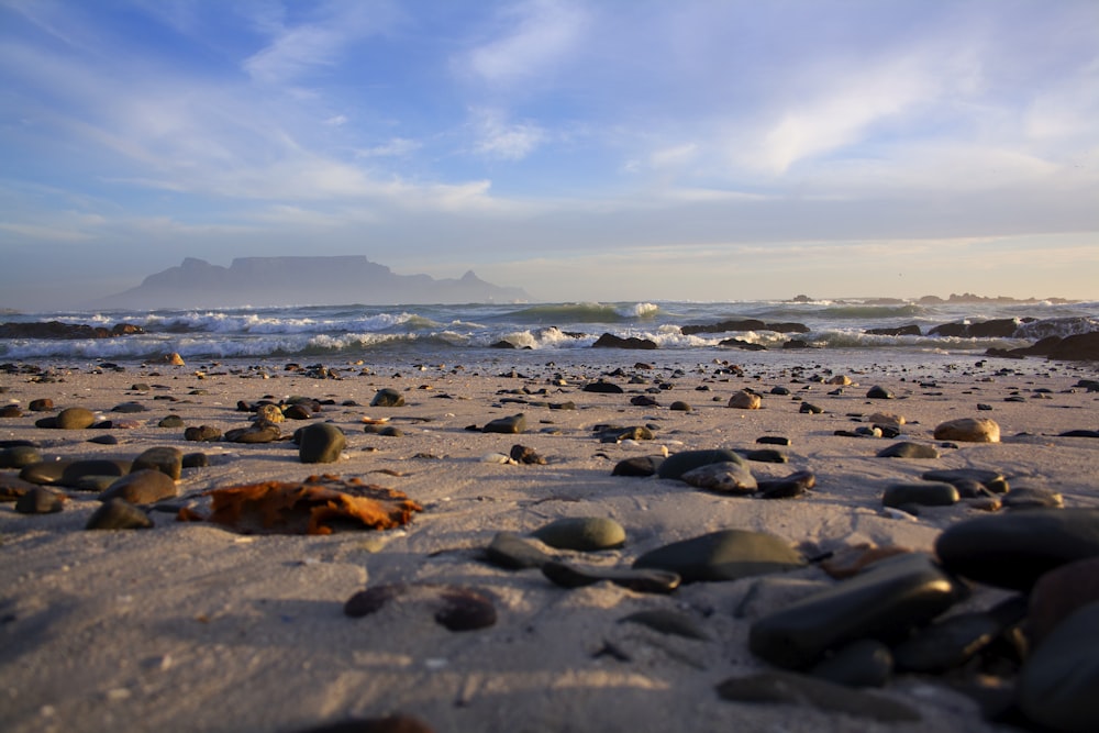 a rocky beach with a body of water in the background