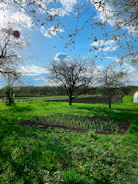 A peaceful countryside scene where a new community garden is being developed.