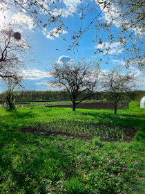 A serene green plot of land ready for construction under a clear blue sky.