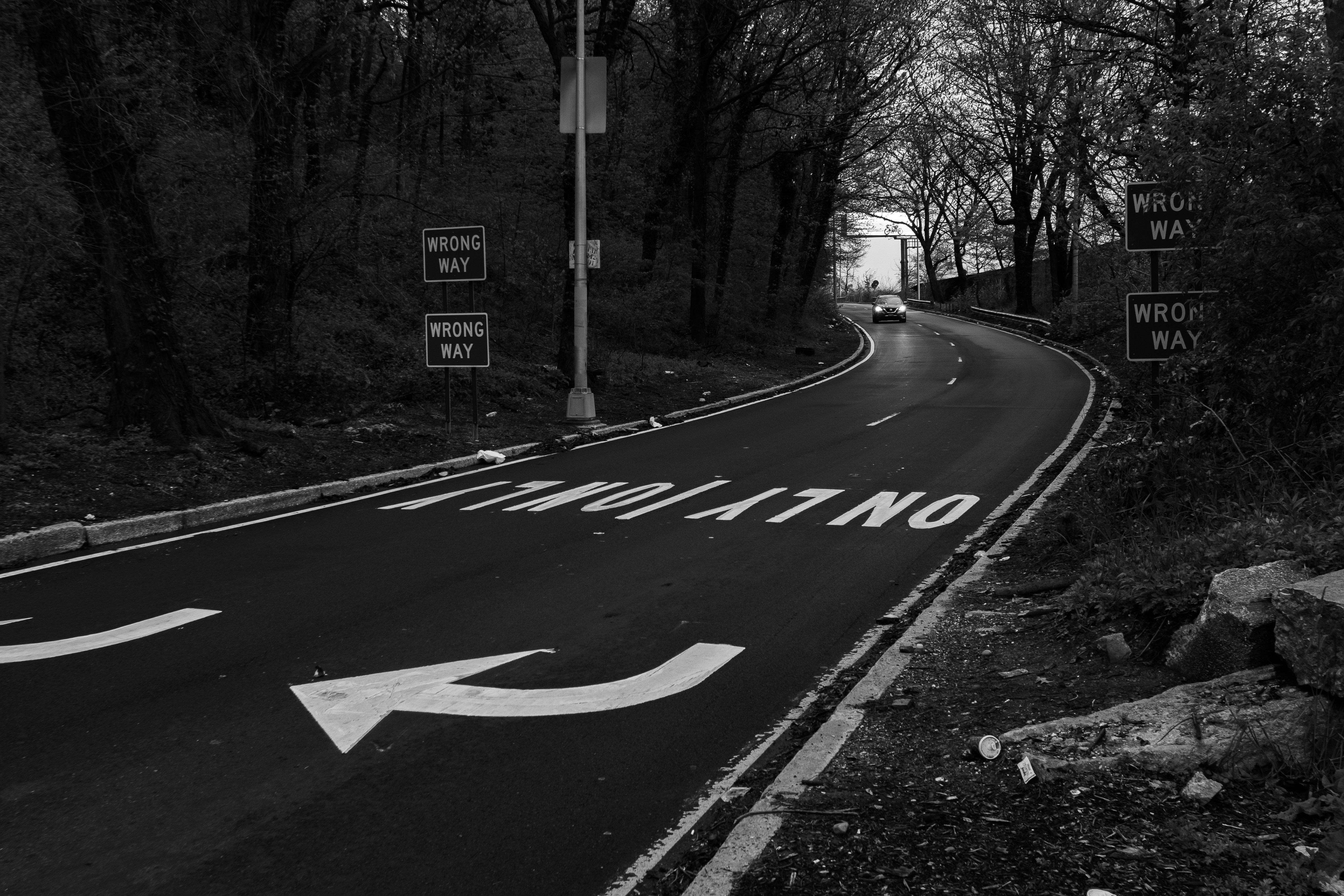 Photo by gabrielalmanzar